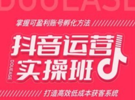抖音运营实操班，掌握可盈利账号孵化方法，打造高效低成本获客系统-智创网