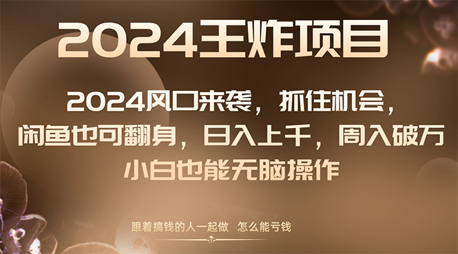（8401期）2024风口项目来袭，抓住机会，闲鱼也可翻身，日入上千，周入破万，小白…-智创网