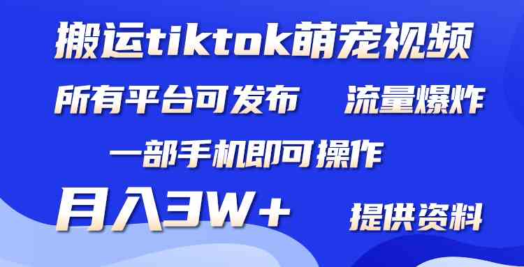 （9618期）搬运Tiktok萌宠类视频，一部手机即可。所有短视频平台均可操作，月入3W+-智创网