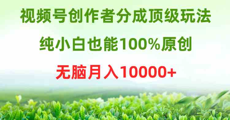 （9608期）视频号创作者分成顶级玩法，纯小白也能100%原创，无脑月入10000+-智创网