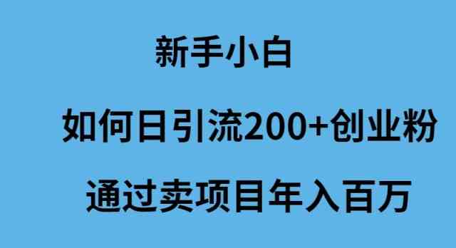 （9668期）新手小白如何日引流200+创业粉通过卖项目年入百万-智创网