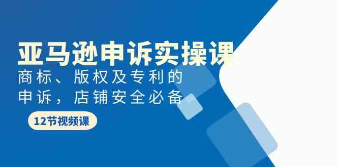（9754期）亚马逊-申诉实战课，​商标、版权及专利的申诉，店铺安全必备-智创网