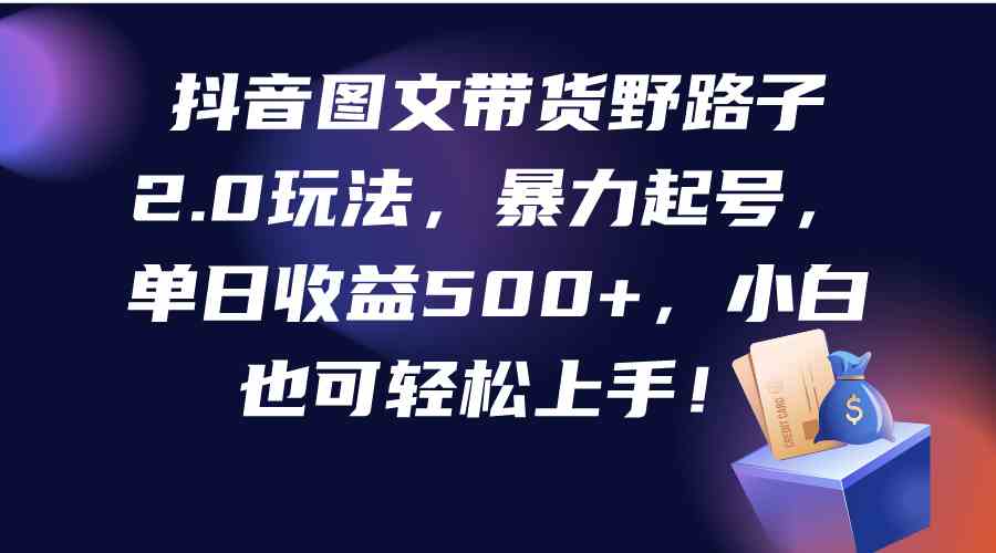 （9790期）抖音图文带货野路子2.0玩法，暴力起号，单日收益500+，小白也可轻松上手！-智创网