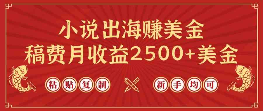 （9765期）小说出海赚美金，稿费月收益2500+美金，仅需chatgpt粘贴复制，新手也能玩转-智创网
