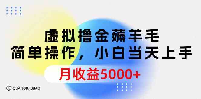 （9864期）虚拟撸金薅羊毛，简单操作，小白当天上手，月收益5000+-智创网