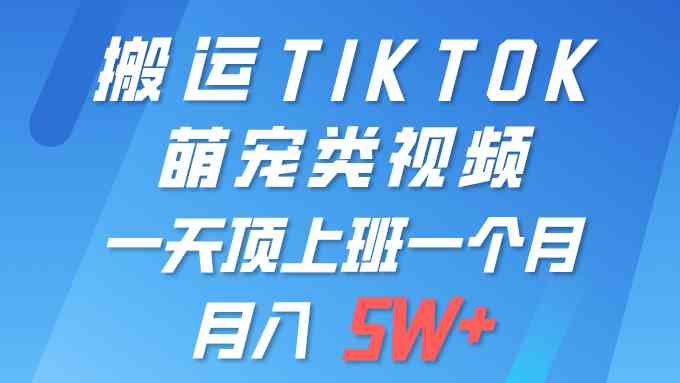 （9931期）一键搬运TIKTOK萌宠类视频 一部手机即可操作 所有平台均可发布 轻松月入5W+-智创网