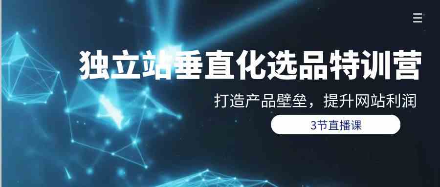 （9925期）独立站-垂直化选品训练营，打造产品壁垒，提升网站利润（3节直播课）-智创网