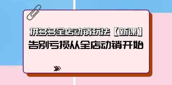 （9974期）拼多多全店动销玩法【新课】，告别亏损从全店动销开始（4节视频课）-智创网