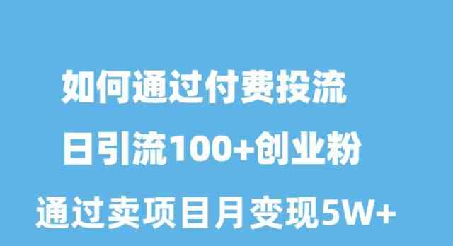 （10189期）如何通过付费投流日引流100+创业粉月变现5W+-智创网