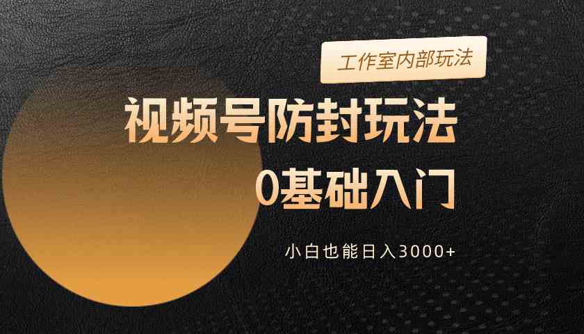 （10107期）2024视频号升级防封玩法，零基础入门，小白也能日入3000+-智创网