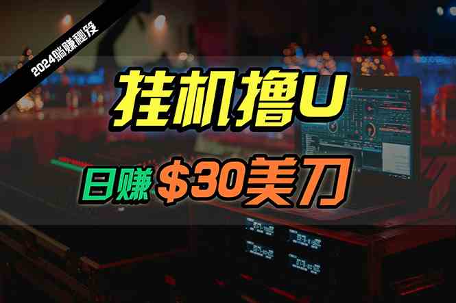 （10013期）日赚30美刀，2024最新海外挂机撸U内部项目，全程无人值守，可批量放大-智创网