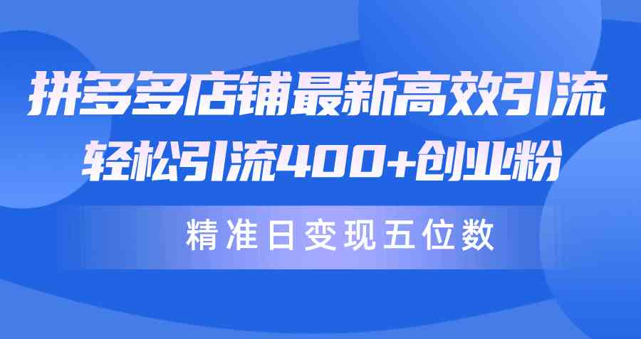 （10041期）拼多多店铺最新高效引流术，轻松引流400+创业粉，精准日变现五位数！-智创网