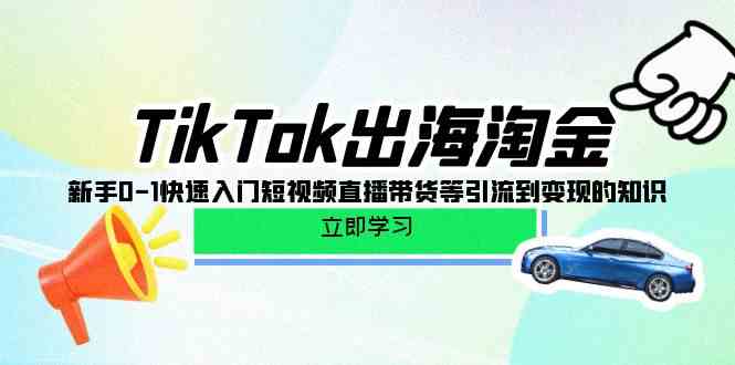 （10035期）TikTok-出海淘金，新手0-1快速入门短视频直播带货等引流到变现的知识-智创网