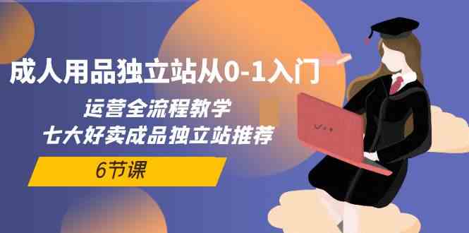 （10082期）成人用品独立站从0-1入门，运营全流程教学，七大好卖成品独立站推荐-6节课-智创网