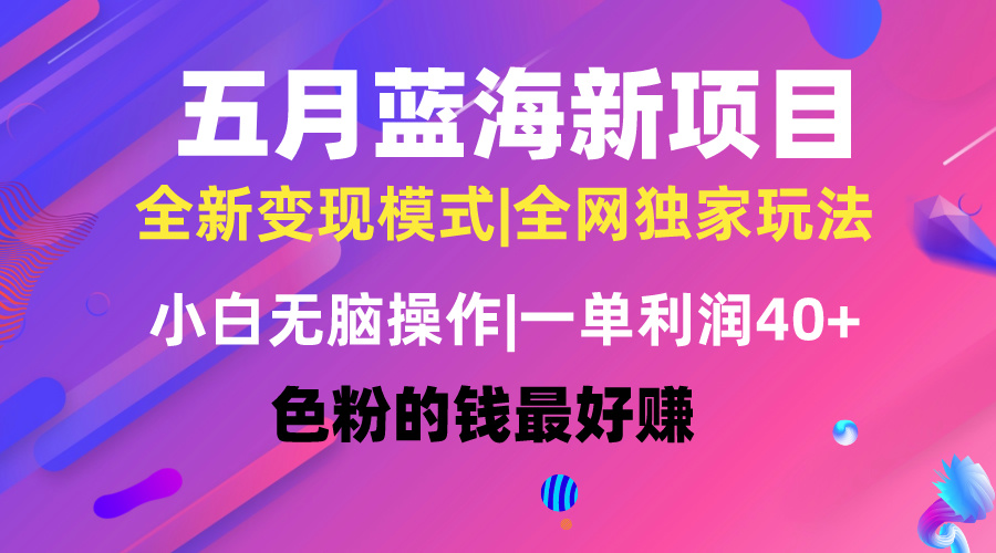 （10477期）五月蓝海项目全新玩法，小白无脑操作，一天几分钟，矩阵操作，月入4万+-智创网