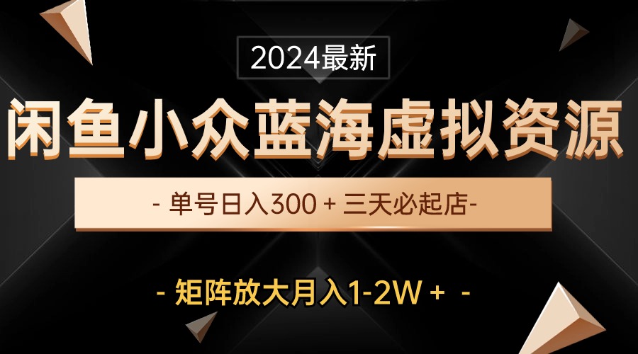 （10336期）最新闲鱼小众蓝海虚拟资源，单号日入300＋，三天必起店，矩阵放大月入1-2W-智创网