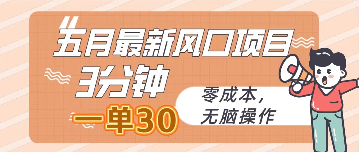 （10256期）五月最新风口项目，3分钟一单30，零成本，无脑操作-智创网