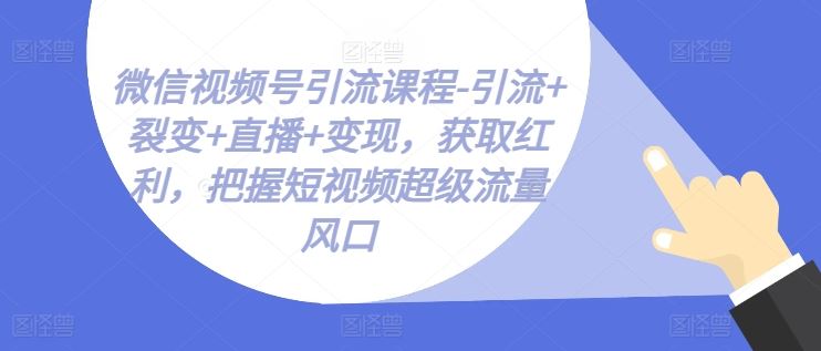 微信视频号引流课程-引流+裂变+直播+变现，获取红利，把握短视频超级流量风口-智创网
