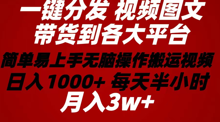 （10667期）2024年 一键分发带货图文视频  简单易上手 无脑赚收益 每天半小时日入1…-智创网
