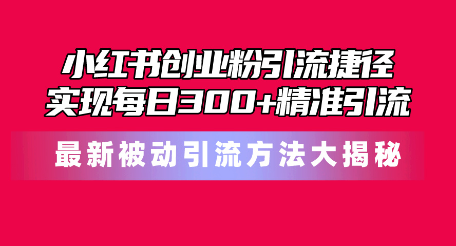 （10692期）小红书创业粉引流捷径！最新被动引流方法大揭秘，实现每日300+精准引流-智创网