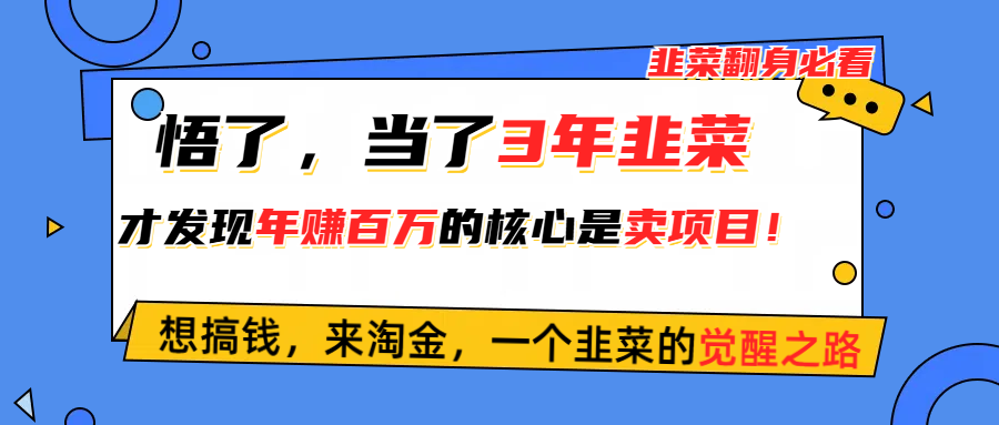 （10759期）悟了，当了3年韭菜，才发现网赚圈年赚100万的核心是卖项目，含泪分享！-智创网