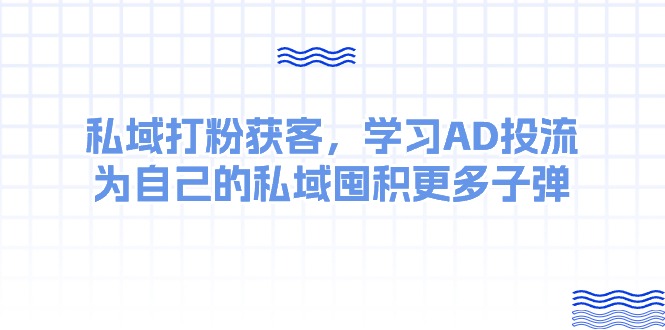 （10728期）某收费课：私域打粉获客，学习AD投流，为自己的私域囤积更多子弹-智创网