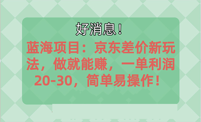 （10989期）越早知道越能赚到钱的蓝海项目：京东大平台操作，一单利润20-30，简单…-智创网