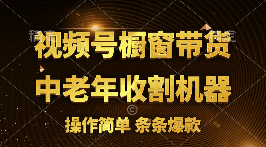 （11009期）[你的孩子成功取得高位]视频号最火爆赛道，橱窗带货，流量分成计划，条…-智创网