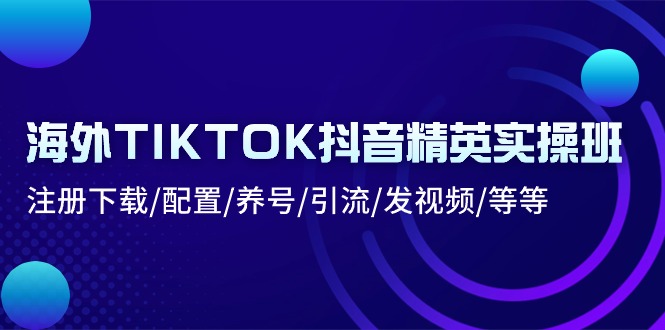 （10998期）海外TIKTOK抖音精英实操班：注册下载/配置/养号/引流/发视频/等等-智创网