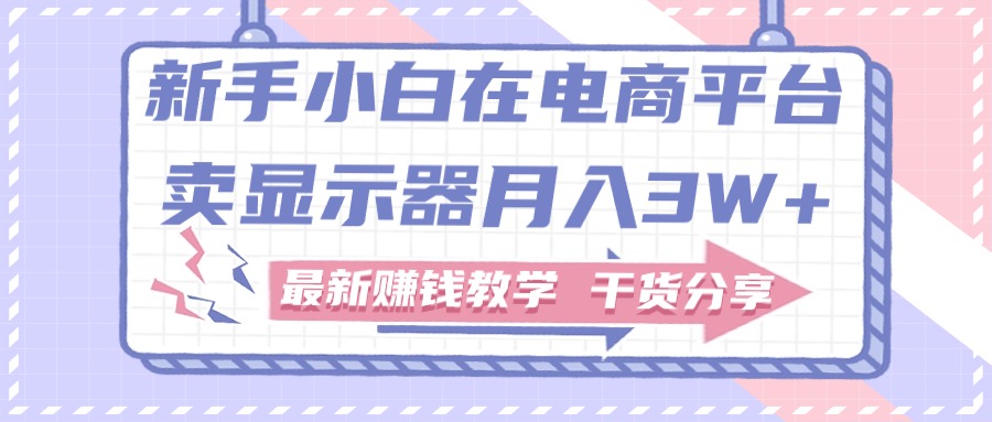 （11053期）新手小白如何做到在电商平台卖显示器月入3W+，最新赚钱教学干货分享-智创网