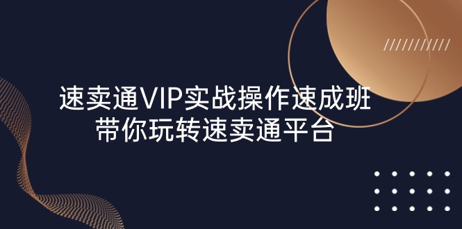 （10935期）速卖通 VIP实战操作-速成班，带你玩转速卖通平台（23节）-智创网