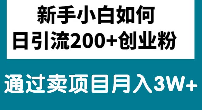 （10843期）新手小白日引流200+创业粉,通过卖项目月入3W+-智创网