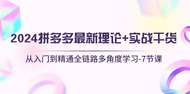 （10816期）2024拼多多 最新理论+实战干货，从入门到精通全链路多角度学习-7节课-智创网