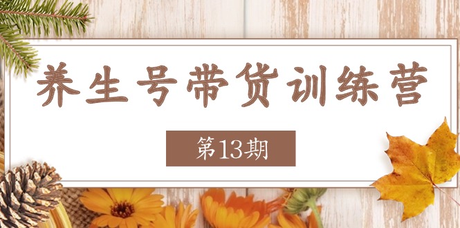 （11275期）养生号-带货训练营【第13期】收益更稳定的玩法，让你带货收益爆炸-智创网