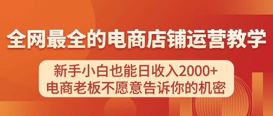（11266期）电商店铺运营教学，新手小白也能日收入2000+，电商老板不愿意告诉你的机密-智创网
