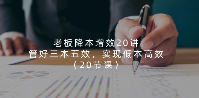 （11238期）老板 降本增效20讲，管好 三本五效，实现低本高效（20节课）-智创网
