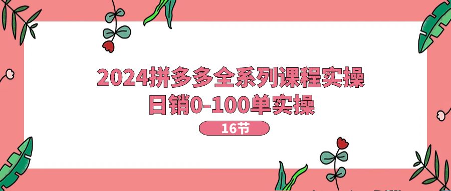 （11222期）2024拼多多全系列课程实操，日销0-100单实操【16节课】-智创网