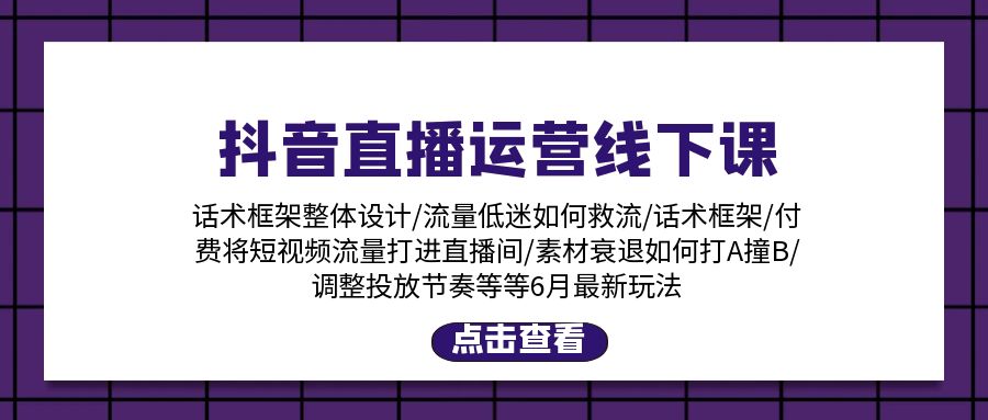 （11211期）抖音直播运营线下课：话术框架/付费流量直播间/素材A撞B/等6月新玩法-智创网