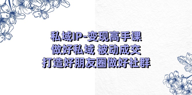 （11209期）私域IP-变现高手课：做好私域 被动成交，打造好朋友圈做好社群（18节）-智创网