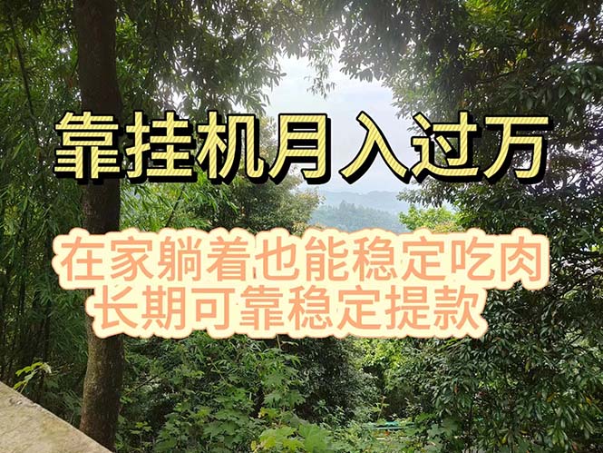 （11144期）挂机掘金，日入1000+，躺着也能吃肉，适合宝爸宝妈学生党工作室，电脑…-智创网