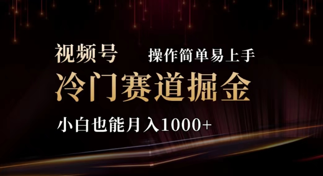 （11378期）2024视频号冷门赛道掘金，操作简单轻松上手，小白也能月入1000+-智创网