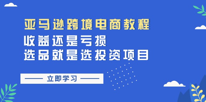 （11432期）亚马逊跨境电商教程：收益还是亏损！选品就是选投资项目-智创网