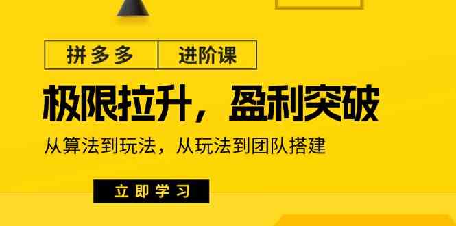 拼多多进阶课：极限拉升/盈利突破：从算法到玩法 从玩法到团队搭建（18节）-智创网
