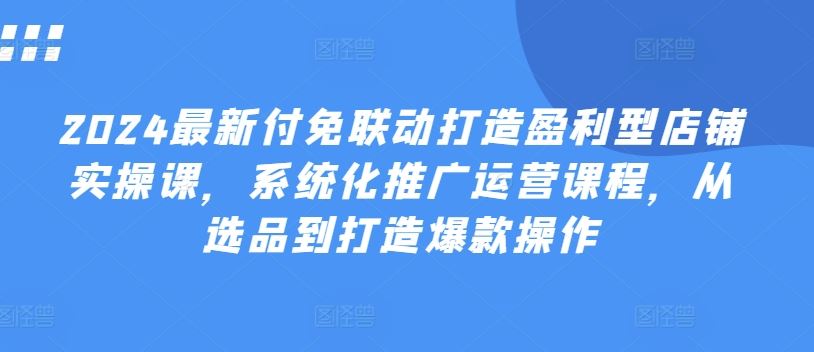 2024最新付免联动打造盈利型店铺实操课，​系统化推广运营课程，从选品到打造爆款操作-智创网