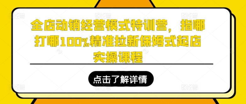 全店动销经营模式特训营，指哪打哪100%精准拉新保姆式起店实操课程-智创网