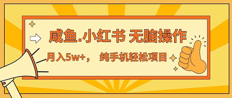（11524期）2024最赚钱的项目，咸鱼，小红书无脑操作，每单利润500+，轻松月入5万+…-智创网