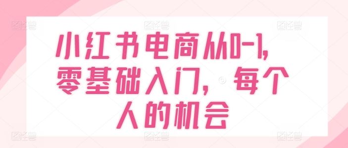 小红书电商从0-1，零基础入门，每个人的机会-智创网