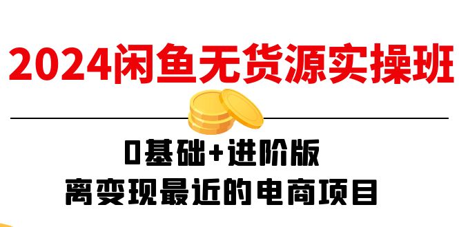 （11535期）2024闲鱼-无货源实操班：0基础+进阶版，离变现最近的电商项目（15节）-智创网