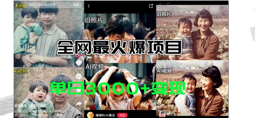 （11546期）全网爆火的AI让老照片动起来教程，蹭热点日赚3000+，内含免费工具一键…-智创网