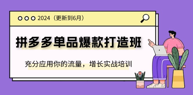（11556期）2024拼多多-单品爆款打造班(更新6月)，充分应用你的流量，增长实战培训-智创网